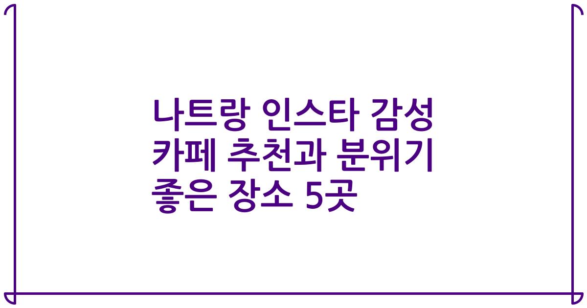 나트랑 인스타 감성 카페 추천과 분위기 좋은 장소 5곳