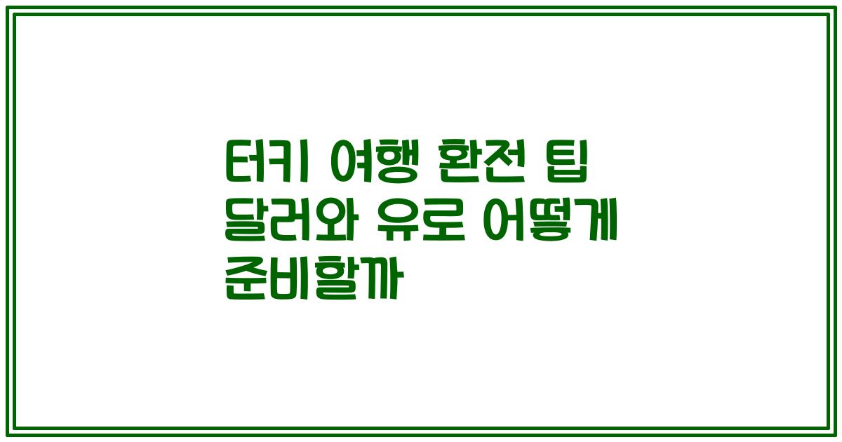 터키 여행 환전 팁 달러와 유로 어떻게 준비할까